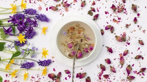 White cup with medicinal herbs, spring flowers and Chinese tea rose buds Mei Gui Hua