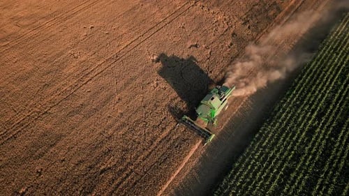 Aerial View of Harvesting Combine Working in Agricultural Field