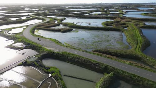 High Angle Footage of the Slat Marshes and a Car Driving on a Road in Between