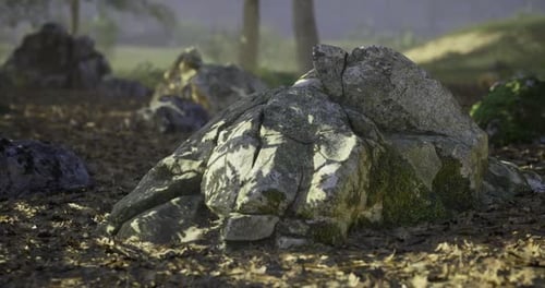 Rock Formations Surrounded By Nature in a Tranquil Outdoor Setting