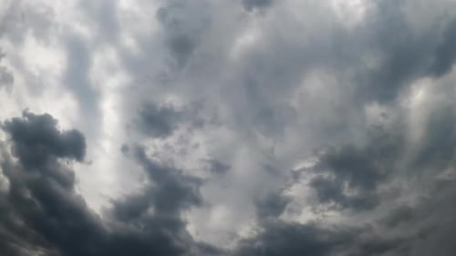 Sky totally covered by the grey clouds. Low angle view at the dramatic cloudscape
