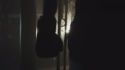 Boxer entering practice ground