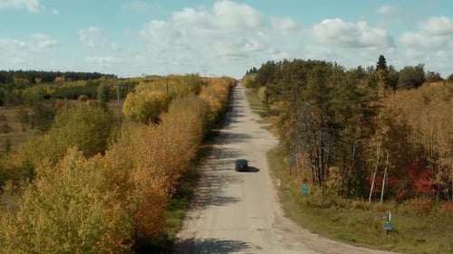 Drone shot above gravel road lined with autumn trees.