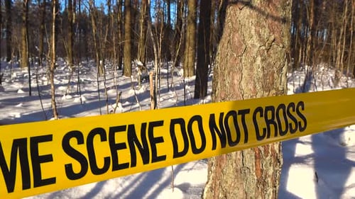 Police Warning Tape Across Snowy Sunny Quiet Woodland Investigation Area Scene, Tree Shadows On Snow