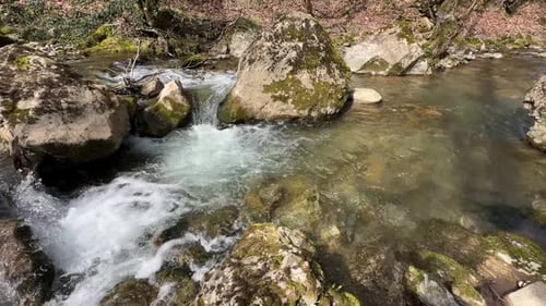 Arroyo que fluye en primavera