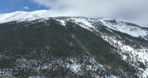 Aerial Rising Drone Shot Over Leafless Trees Above a Snowy Mountain Winter Wilderness on a Sunny Day