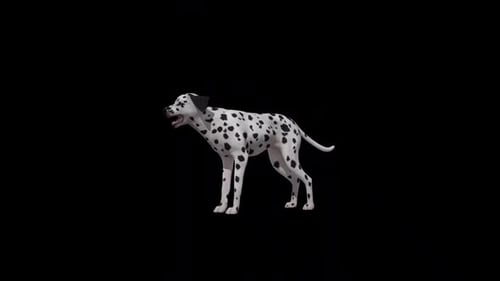 Animated 3D Dalmatian Dog Standing Still With Wagging Tail
