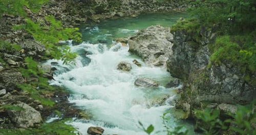 Crystal clear blue fresh water of mountain river flows in the summer forest. The beauty of nature. T