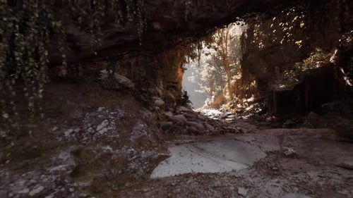 Path Unfolds with Sunlight Sunlit Trail Emerges Through Lush Greenery