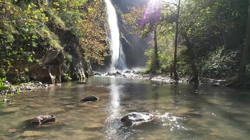 Waterfall and Nature