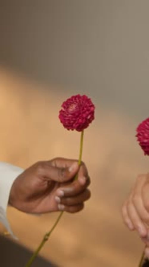 Giving a Flower in Portrait Orientation