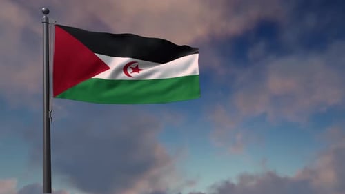 Realistic Waving Flag of Western Sahara Against a Sky Background