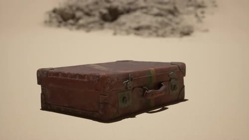 A Piece of Luggage Sitting on Top of a Sandy Beach
