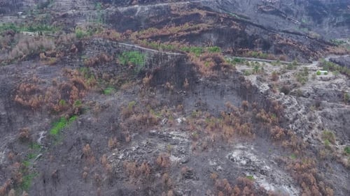 Burnt mountain slope with road crossing through wildfire aftermath
