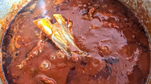 Close-up of boiling bubbling creamy broth curry meal with bone of chicken cooking in pot on stovetop