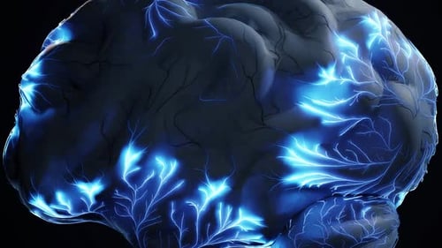 Brain Nerves Pulsing Animation