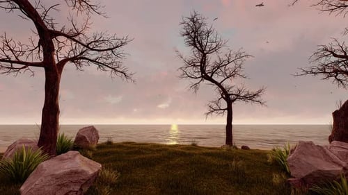 Dry Trees On The Ocean View