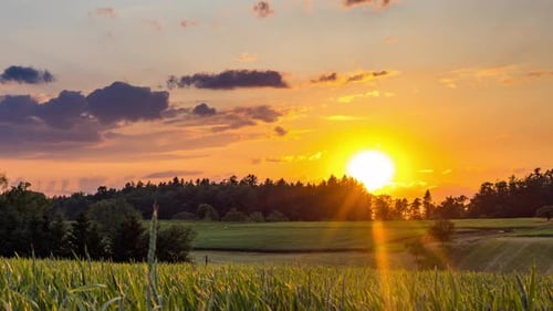 Dawn in a Cloudy Sky Over a Hilly Rural Valley with Forests and Wheat Fields