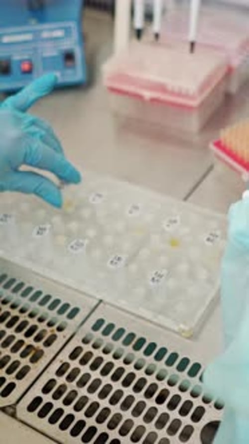 Gloved Hands Perform Experiment in Lab