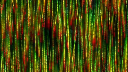 Lines of colorful particles flow down, bright light stripes, Background of bright particles