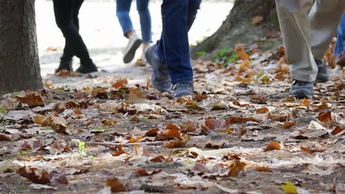 Legs close-un - Group of people walking on fallen leaves in a Park Daytime