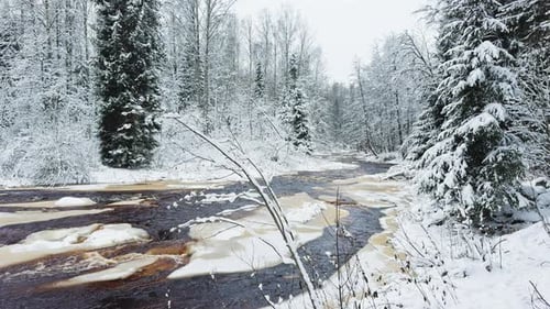 Lindulovskaya Grove an Ecological Trail a Calm Winding River in a Snowy Forest Trees Under the Snow