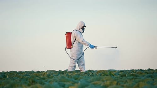 A Worker in a Protective Suit with a Respirator Sprays Pesticides Insecticides Herbicides
