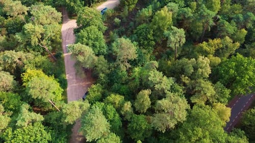 Aerial view of a forested area with two winding paved roads and sparse traffic. Dense green canopy