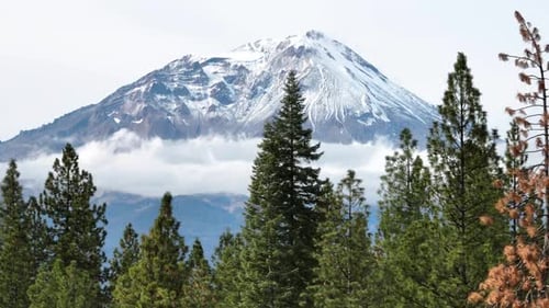 Snow Capped Mount Shasta in Northern California from the Sky