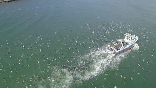 Luftorbit über dem kleinen Fischereifahrzeug mit vielen Möwen