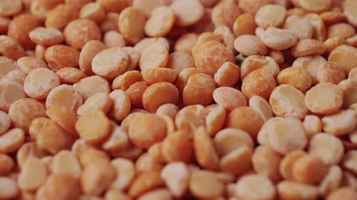 Dried Yellow Peas Close Up Round Yellow Peas for Cooking Porridge Healthy Food Concept Healthy