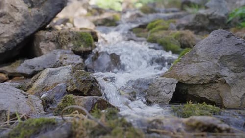 Gebirgsbach stürzt über nasse Steine im Wald