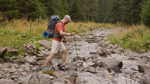 Male Hiker Crossing Creek in Forest