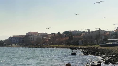 Seagulls Flying By The Sea In A Small Seaside Town 1