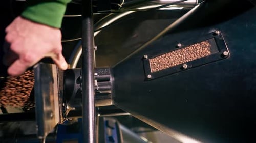 Closeup at a Coffee Factory in a Roasting Machine a Hand Opens Gap and Coffee Pours Out