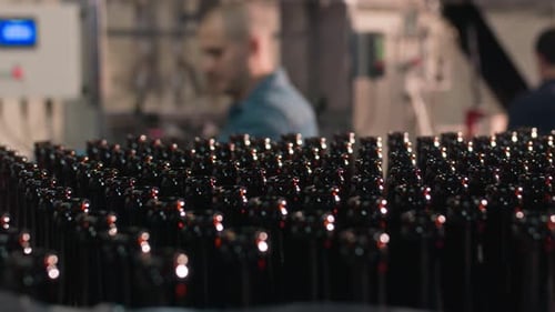 Man Controlling Bottling Process at Cider Manufacturing Plant
