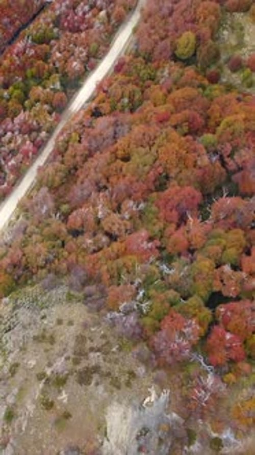 Vertical Aerial in Flying over Las Vueltas River Valley, El Chaltén, Argentina