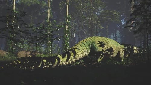 Crocodile se reposant au milieu d'un feuillage dense dans un cadre de forêt verdoyante