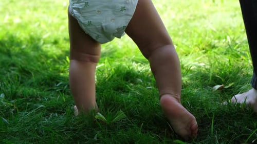 Baby's First Steps on Green Grass Lawn