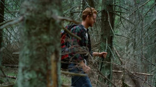 Male Hiker With Backpack Walking Between Trees In Summer Forest. Redhead Man Trekking Woods. Smil...