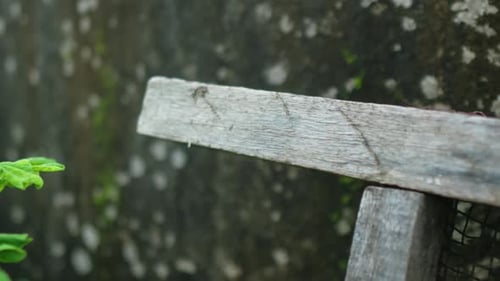 Close-up of weathered wooden frame outdoors