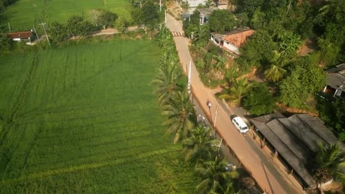 Aerial of Couple Ride on Motorbike in Rice Field Plantation Drone Shot of Man Woman Driving