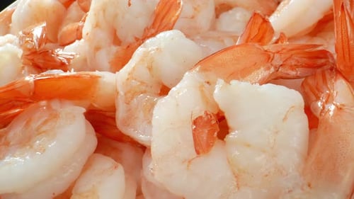 Frozen Shrimp in 4K video.