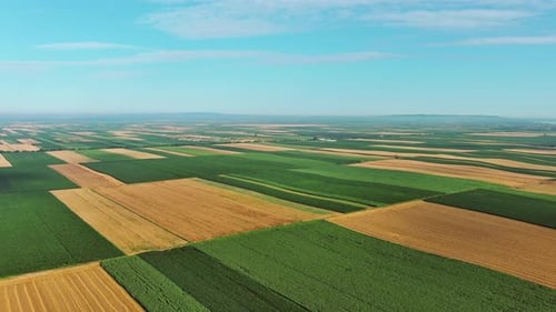 Aerial View of Agriculture Fields