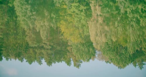Ein bezaubernder Blick auf das Spiegelbild der grünen Natur auf einer ruhigen Seewasseroberfläche.