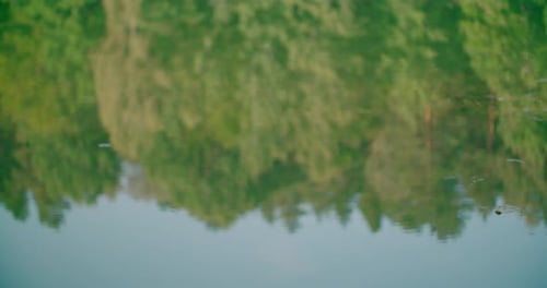 An enchanting view of the reflection of green nature on a calm lake water surface.