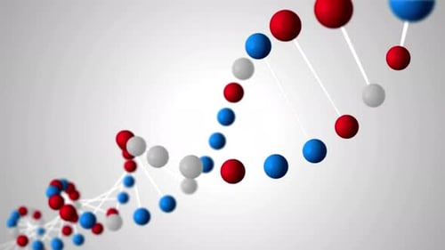 Molécule d'ADN, brins en double hélice