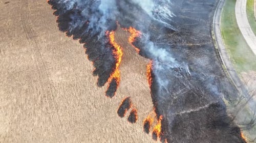 The Controlled Burn of a Field for an Approaching Forest Fire