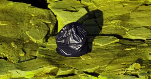 Una bolsa negra contrasta maravillosamente con una superficie verde vibrante