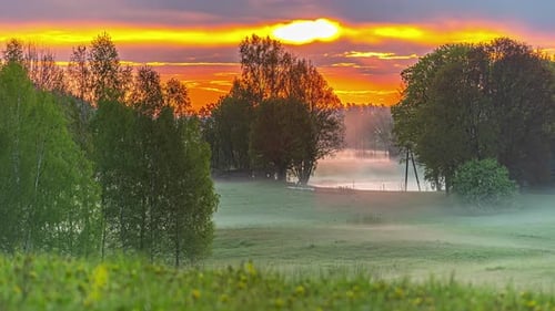 Low-lying fog covers meadows between trees at sunrise - colorful time lapse